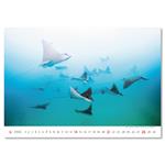 Nástenný kalendár 2026 - Deep Blue