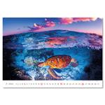 Nástenný kalendár 2026 - Deep Blue