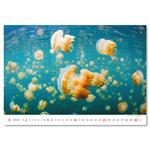 Nástenný kalendár 2026 - Deep Blue