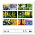 Nástenný kalendár 2026 - Forest/Wald/Les