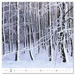 Nástenný kalendár 2026 - Forest/Wald/Les