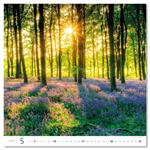Nástenný kalendár 2026 - Forest/Wald/Les