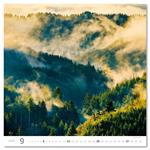 Nástenný kalendár 2026 - Forest/Wald/Les