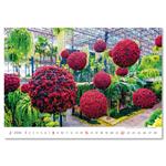 Nástenný kalendár 2026 - Gardens