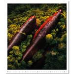 Nástenný kalendár 2026 - Geo Art