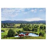 Nástenný kalendár 2026 Golf