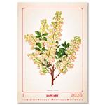 Nástenný kalendár 2026 - Herbarium
