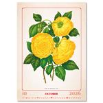 Nástenný kalendár 2026 - Herbarium