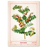 Nástenný kalendár 2026 - Herbarium