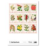 Nástenný kalendár 2026 - Herbarium