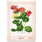 Nástenný kalendár 2026 - Herbarium