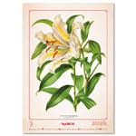Nástenný kalendár 2026 - Herbarium