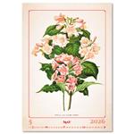 Nástenný kalendár 2026 - Herbarium