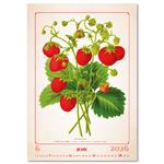 Nástenný kalendár 2026 - Herbarium