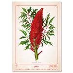 Nástenný kalendár 2026 - Herbarium