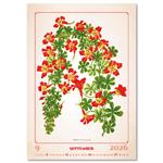 Nástenný kalendár 2026 - Herbarium