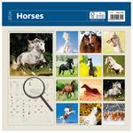 Nástenný kalendár 2026 - Horses