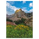 Nástenný kalendár 2026 Hory