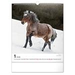 Nástenný kalendár 2026 Kone