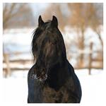 Nástenný kalendár 2026 Kone