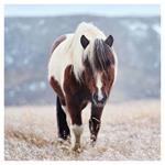 Nástenný kalendár 2026 Kone