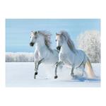 Nástenný kalendár 2026 - Kone