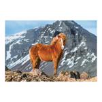 Nástenný kalendár 2026 - Kone