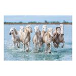 Nástenný kalendár 2026 - Kone