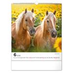 Nástenný kalendár 2026 Kone