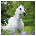 Nástenný kalendár 2026 Kone