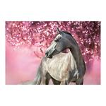 Nástenný kalendár 2026 - Kone