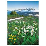 Nástenný kalendár 2026 - Krásy hôr