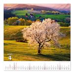 Nástenný kalendár 2026 - Krásy Slovenska