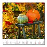 Nástenný kalendár 2026 - Krásy vidieka