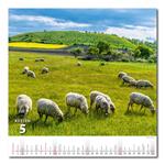 Nástenný kalendár 2026 - Krásy vidieka