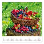 Nástenný kalendár 2026 - Krásy vidieka