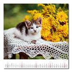 Nástenný kalendár 2026 - Krásy vidieka