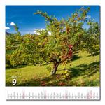 Nástenný kalendár 2026 - Krásy vidieka