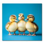 Nástenný kalendár 2026 Kravata - Maznáčikovia