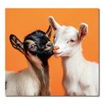 Nástenný kalendár 2026 Kravata - Maznáčikovia