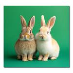 Nástenný kalendár 2026 Kravata - Maznáčikovia