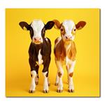 Nástenný kalendár 2026 Kravata - Maznáčikovia