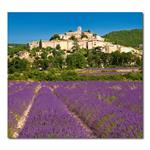 Nástenný kalendár 2026 Kravata - Provence