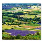 Nástenný kalendár 2026 Kravata - Provence