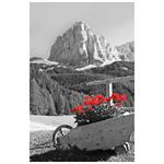 Nástenný kalendár 2026 Kravata - Žánrový