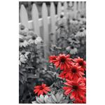 Nástenný kalendár 2026 Kravata - Žánrový