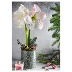 Nástenný kalendár 2026 Kvety