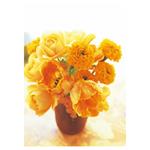 Nástenný kalendár 2026 Kvety