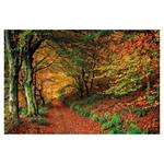 Nástenný kalendár 2026 Les