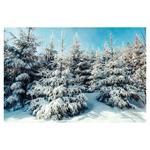 Nástenný kalendár 2026 Les